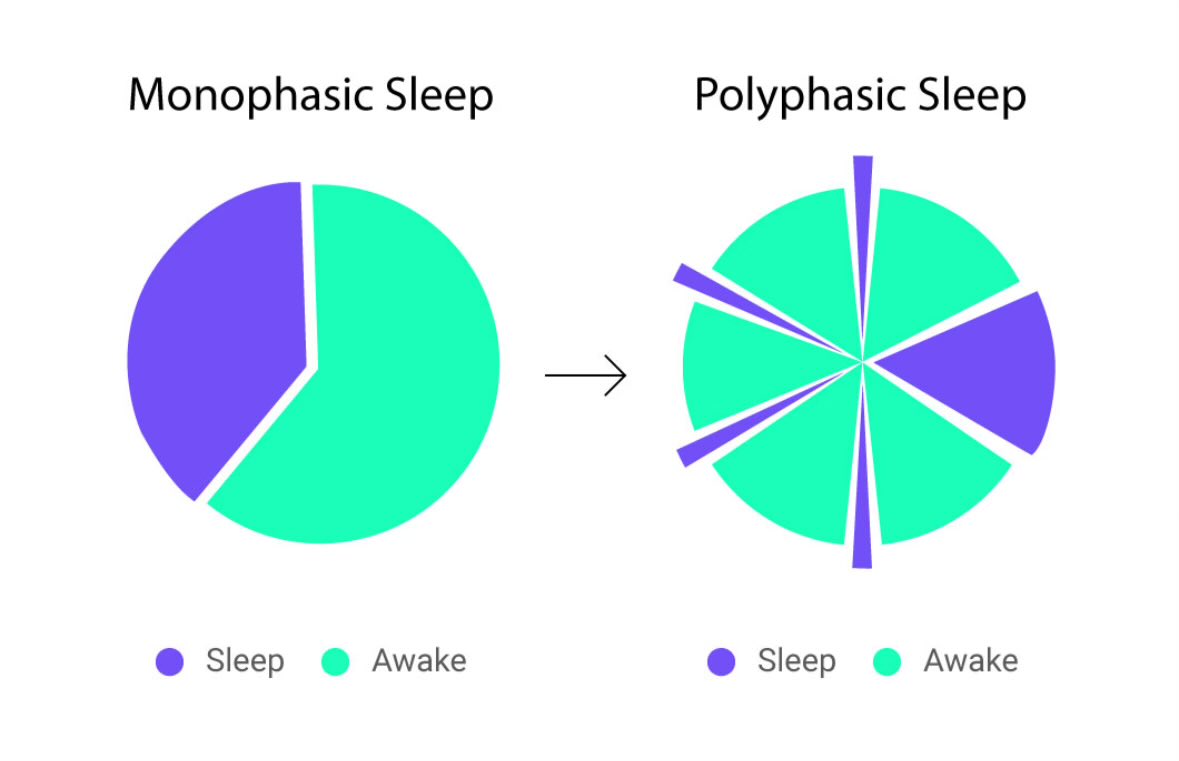 Polyphasic sleep patterns for AI agent management